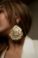 Load image into Gallery viewer, Vasu