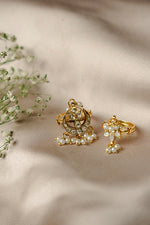 Load image into Gallery viewer, Parakram