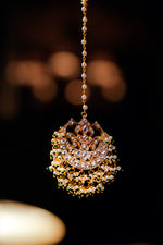 Load image into Gallery viewer, Chiranjeev