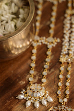 Load image into Gallery viewer, Vicarin